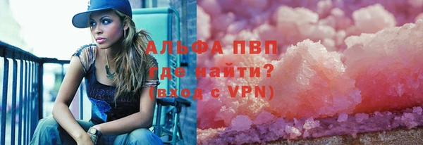 прущие грибы Аркадак