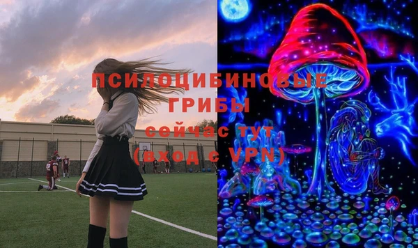 ПСИЛОЦИБИНОВЫЕ ГРИБЫ Армянск