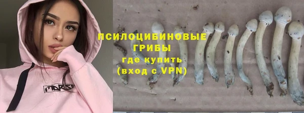 прущие грибы Аркадак
