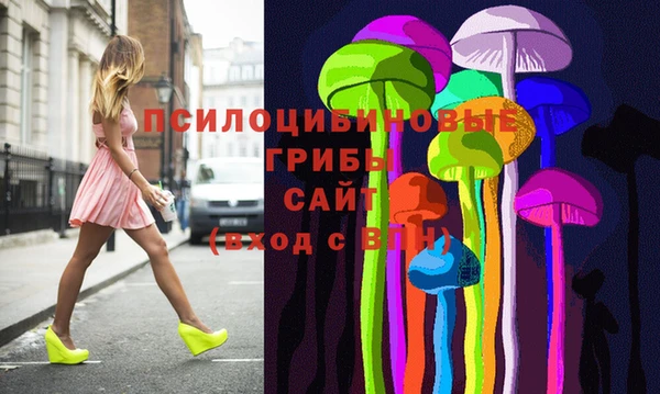 прущие грибы Аркадак